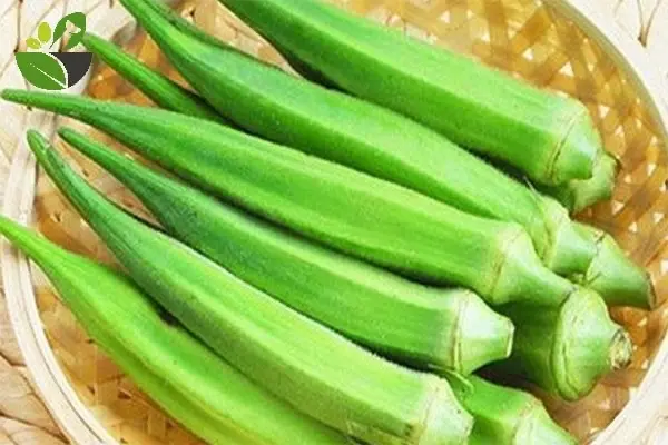 Hình ảnh đậu bắp