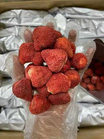 Hình ảnh dâu tây Đlat sấy giòn túi zip 100gr