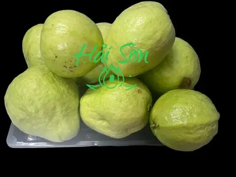 Hình ảnh Ổi dùng ép nước