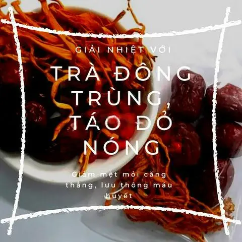 Hình ảnh Trà quế - đông trùng - táo đỏ nóng