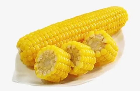 Hình ảnh Bắp Mĩ Hấp(1 trái)