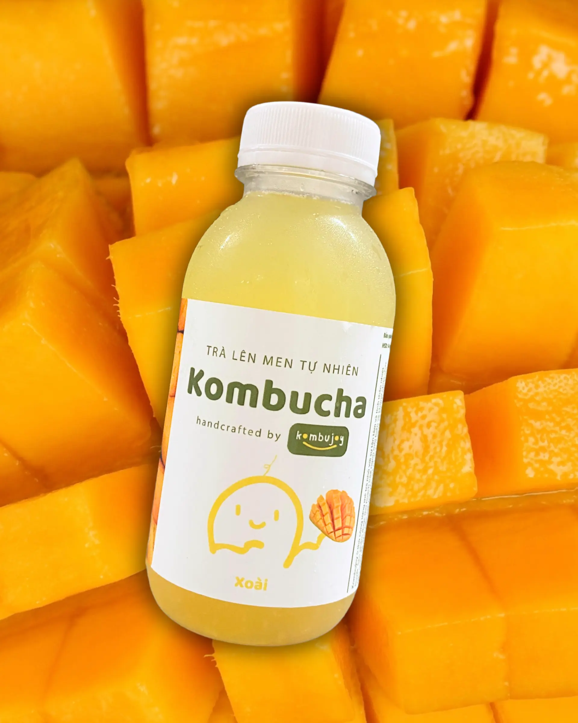 Hình ảnh Kombucha xoài cát hoà lộc - chai 330ml