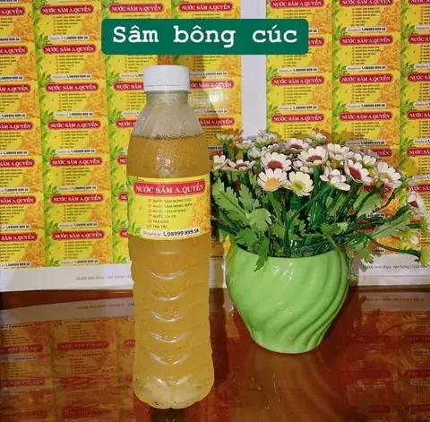 Hình ảnh Sâm bông cúc