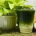Hình ảnh Rau Má Sữa