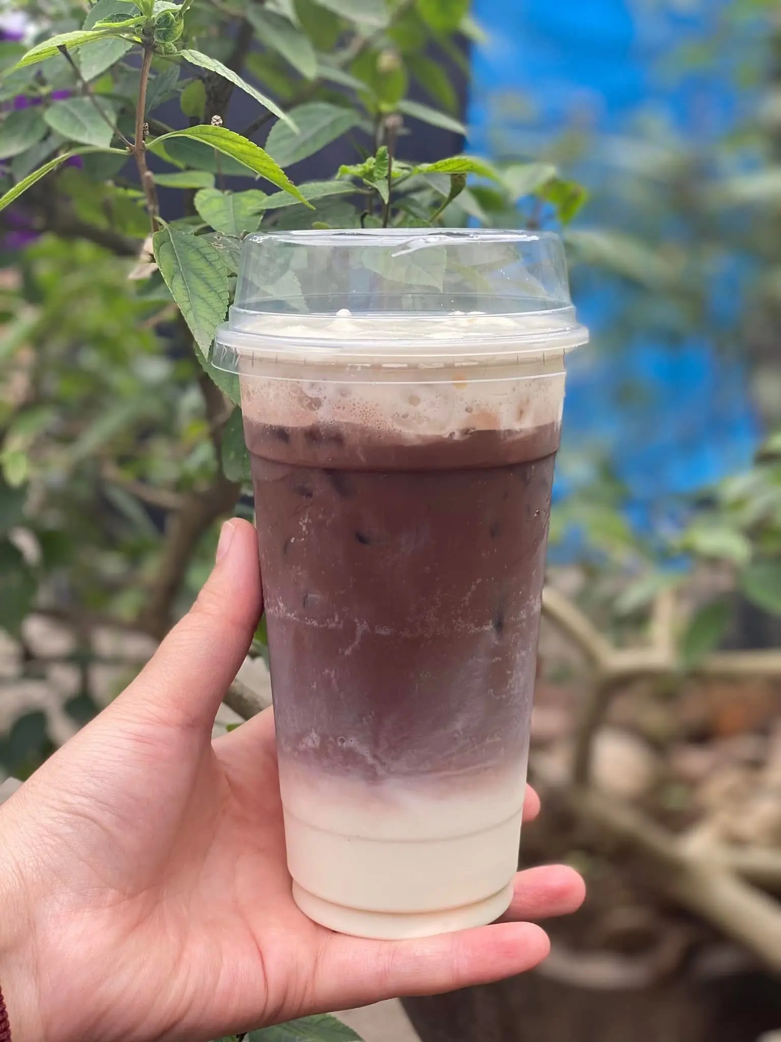 Hình ảnh Cacao kem muối