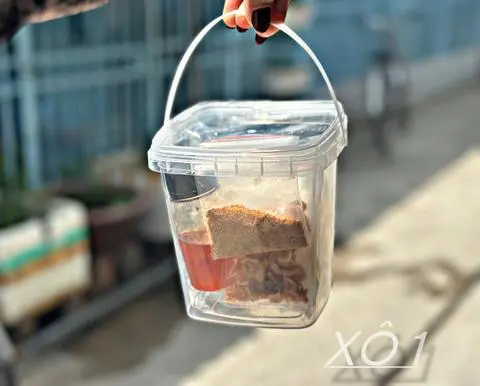 Hình ảnh Xô 1 - bánh tráng phơi sương sốt tắc hành muối