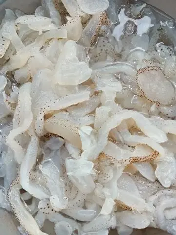 Hình ảnh Bún sứa