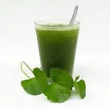 Hình ảnh rau má đâu xanh
