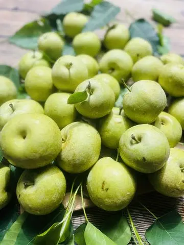 Hình ảnh Lê Rừng Tà Nung - 1Kg 