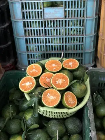 Hình ảnh Cam Vĩnh Long