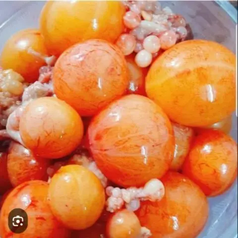 Hình ảnh Trứng Non Lớn Nhiều Trứng