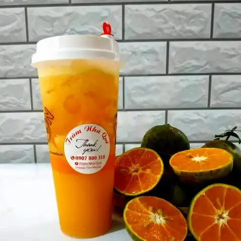 Hình ảnh Quýt Đường Ép (Ly700ml)