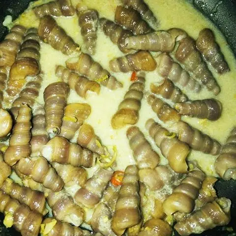 Hình ảnh Ốc đinh xào bơ
