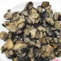 Hình ảnh Chén ốc
