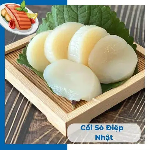 Hình ảnh Cồi Sò Điệp Nhật 9 miếng( 90g)