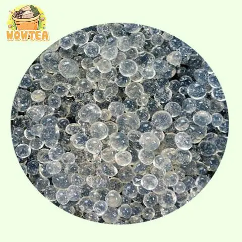Hình ảnh Trân châu trắng