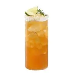Hình ảnh Kombucha chanh gừng - Ly