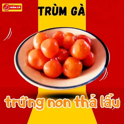 Hình ảnh trứng non thả lẩu