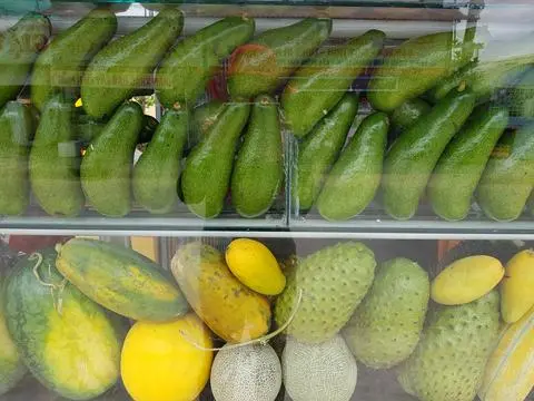 Hình ảnh sinh tố dua ngang