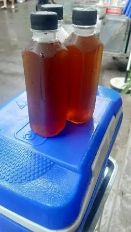 Hình ảnh Sâm lạnh