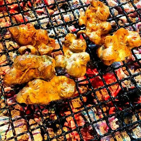 Hình ảnh Mề gà