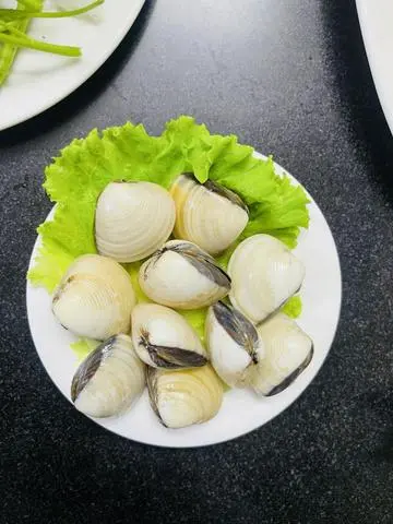 Hình ảnh nghêu tươi 