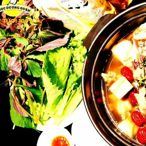 Hình ảnh Lẩu dê tiềm thuốc Bắc