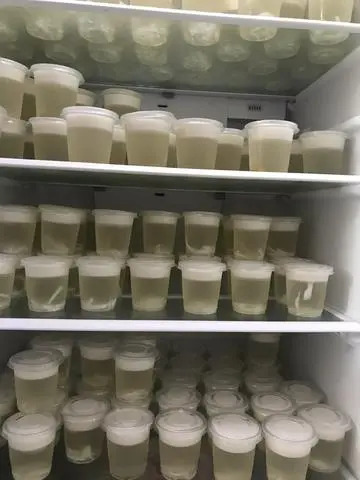 Hình ảnh Rau câu dừa ly - topping cơm dừa