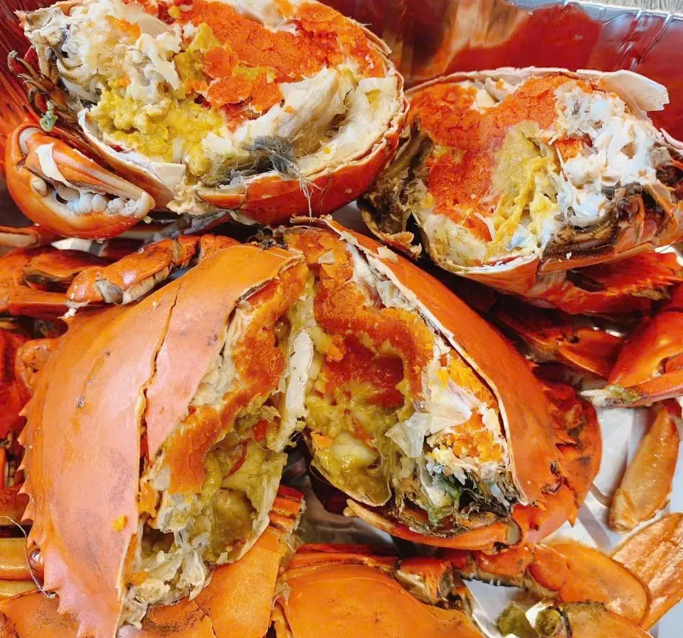 Hình ảnh 4 Cua Gạch Size Vừa 1.2kg