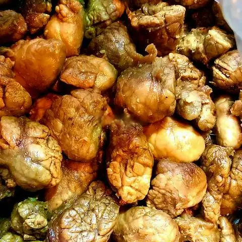 Hình ảnh Ốc mít