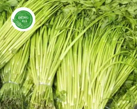 Hình ảnh RAU CẦN NƯỚC