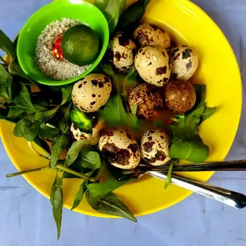 Hình ảnh Cút lộn - chục