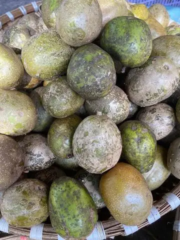Hình ảnh Cóc Già Cụ 500gr