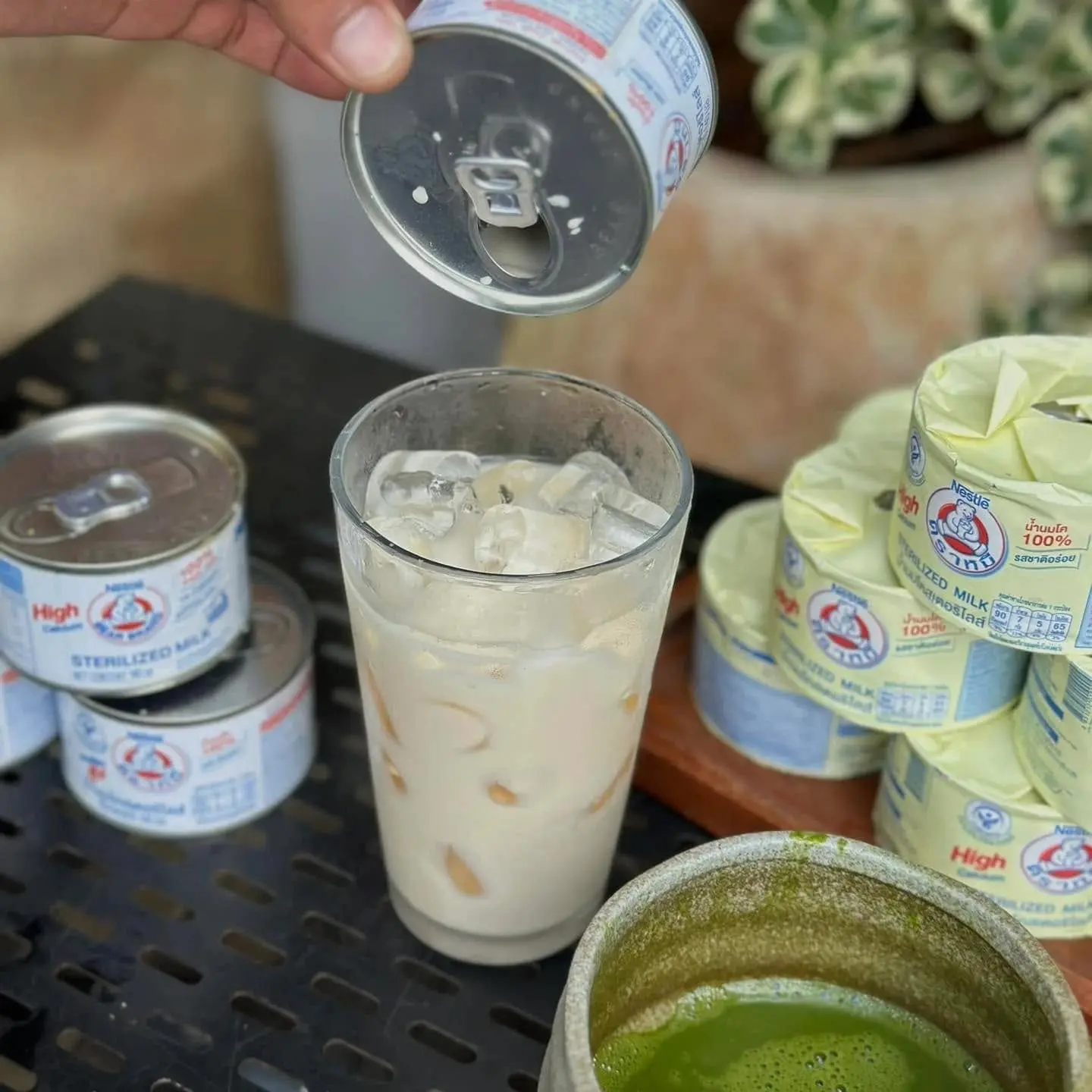 Hình ảnh Sữa gấu Thái Lan nguyên vi 