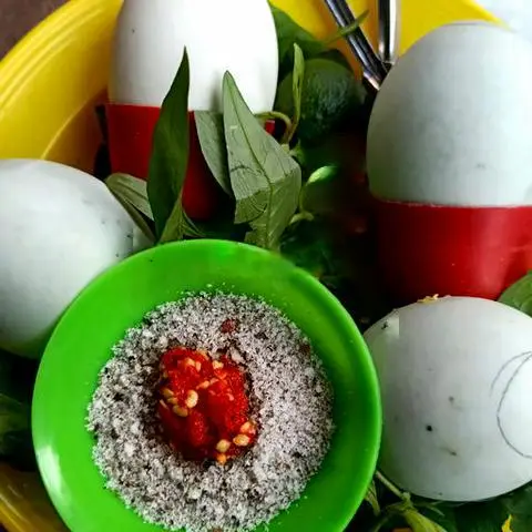 Hình ảnh Vịt Dữa