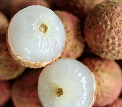 Hình ảnh Trà Vải