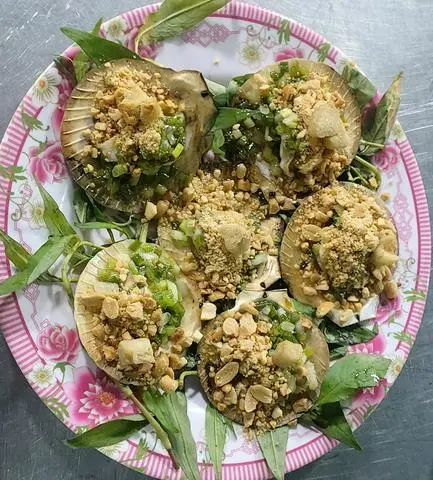 Hình ảnh Sò ĐIỆP 