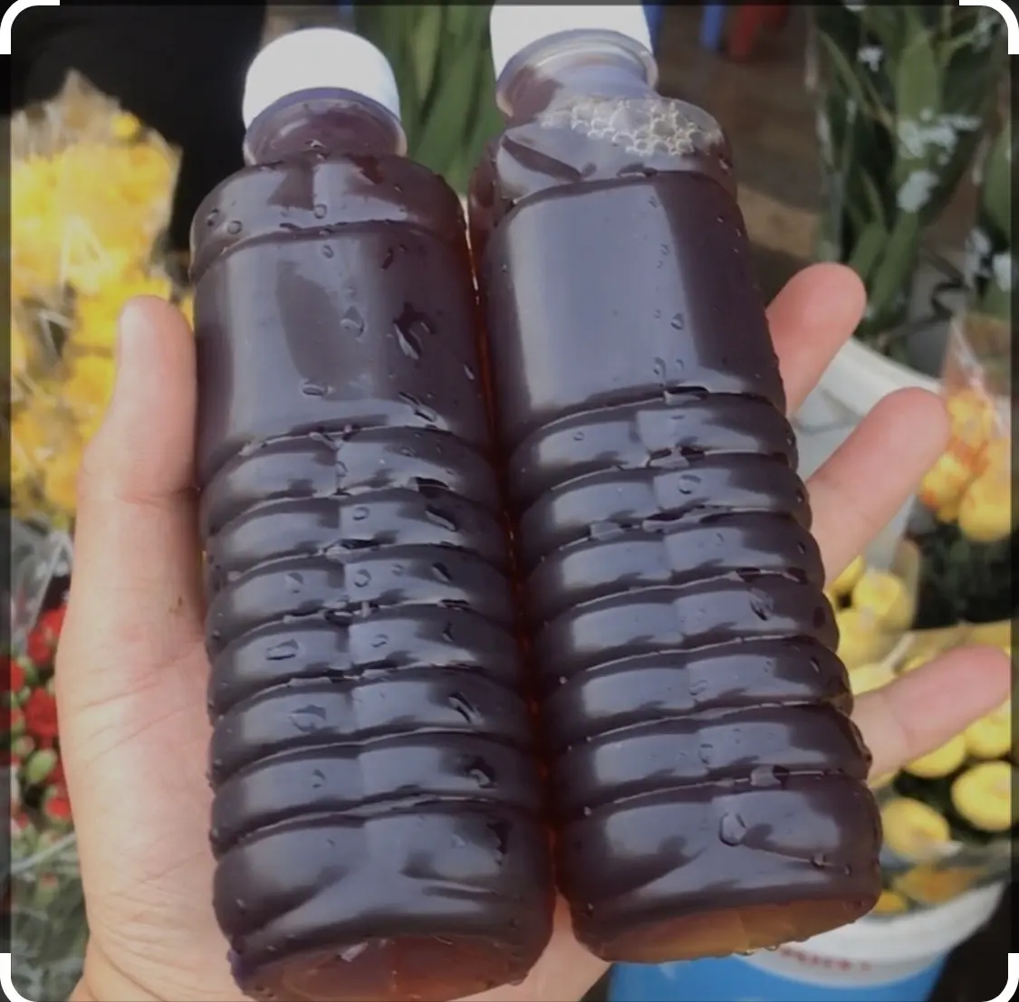 Hình ảnh Sâm lạnh nhà nấu