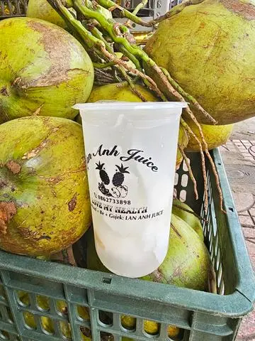 Hình ảnh NƯỚC DỪA XIÊM BẾN TRE