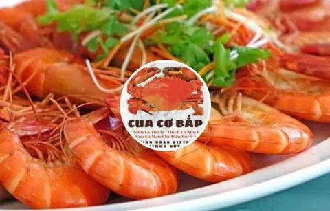 Hình ảnh TÔM SÚ BIỂN VỪA SIZE 20 - 1kg~1,1kg (20 con