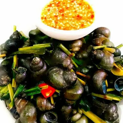 Hình ảnh Ốc đắng sả ớt mắm gừng