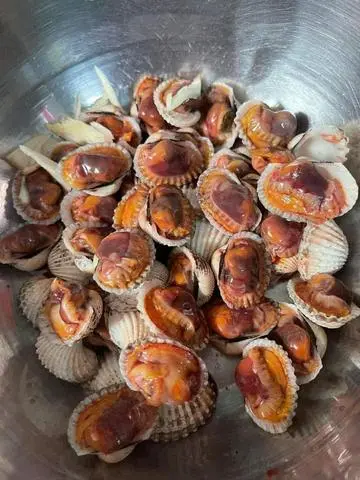 Hình ảnh Sò huyết
