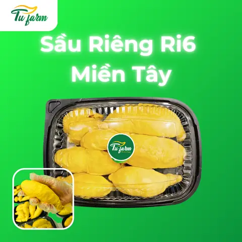 Hình ảnh Sầu riêng ri6 miền Tây chuẩn VIETGAP-hộp 1kg-BAO NGỌT (Tặng kem sẩu riêng nhỏ)