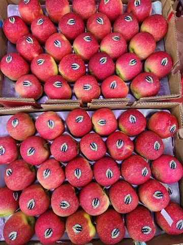 Hình ảnh Táo nam phi ( hộp 1kg )