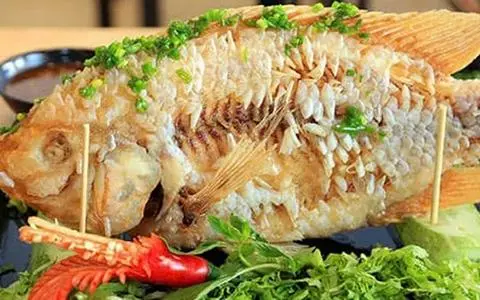 Hình ảnh Cá Tai Tượng Chiên Xù