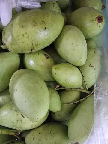 Hình ảnh Xoài Non