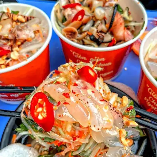 Hình ảnh Gởi sứa biển lớn