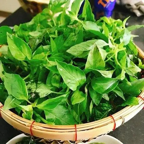 Hình ảnh lá é gọi thêm
