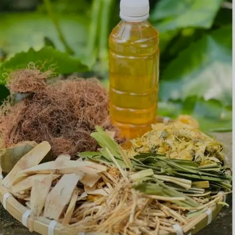 Hình ảnh Sâm bông cúc