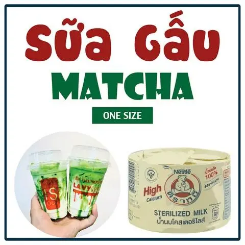Hình ảnh SỮA GẤU MATCHA